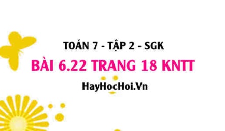 Bài 6.22 trang 18 Toán 7 Tập 2 Kết nối tri thức